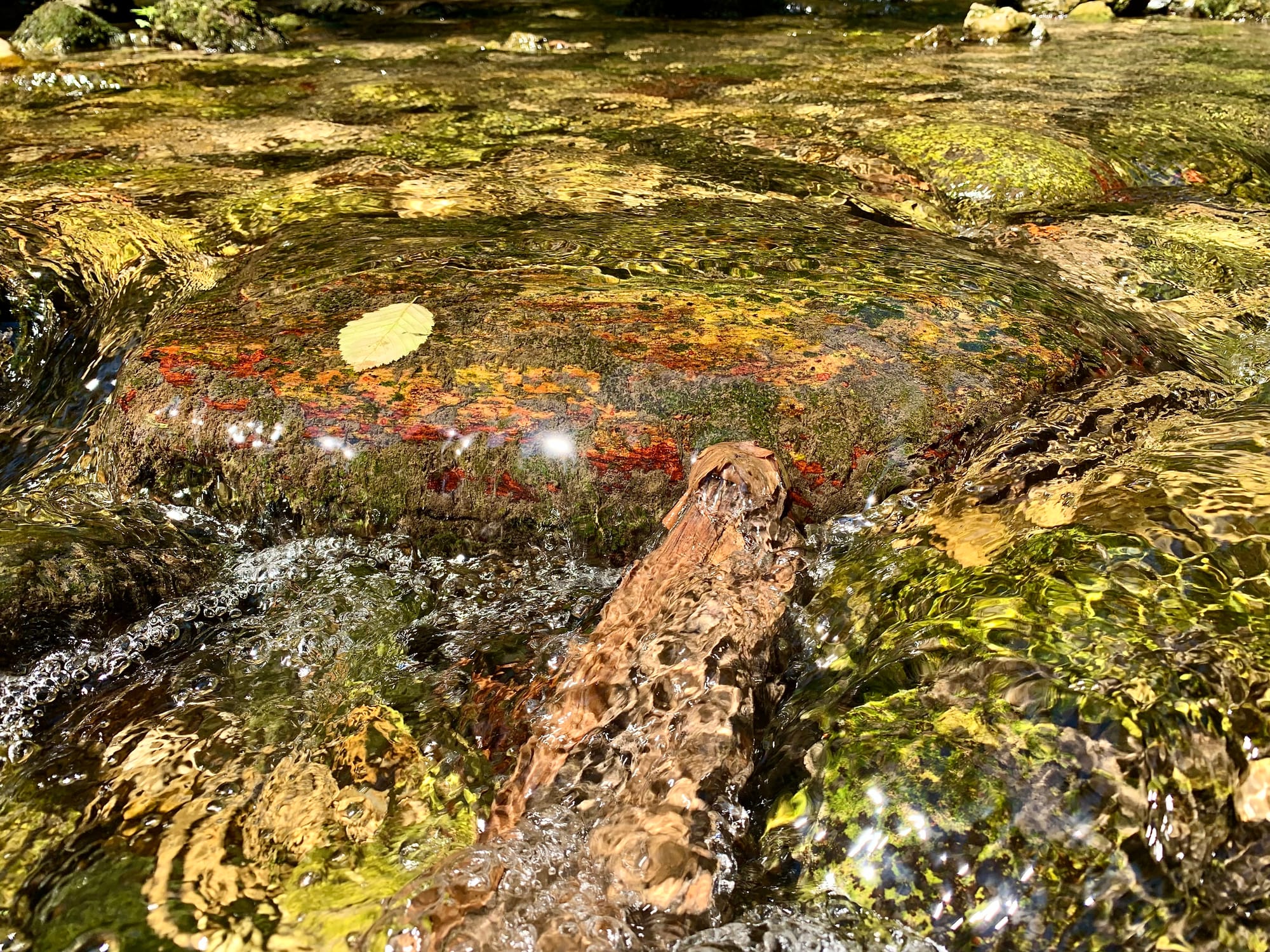 FORUM: A Toast To Families, Coaches & Other Perennials Of Summer Swim Season