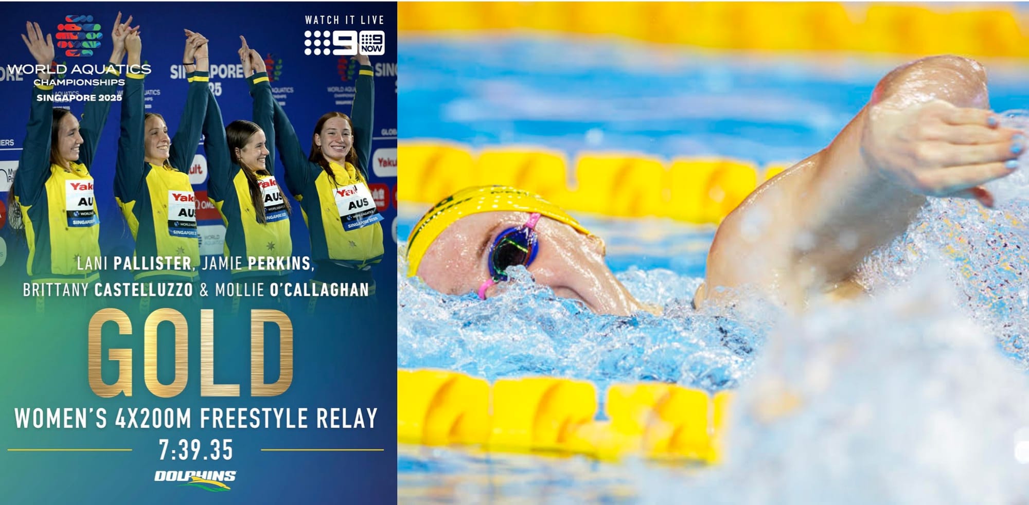 W4x200Free: O'Callaghan Matches Thorpe Tally On Latest Dolphins Triumph