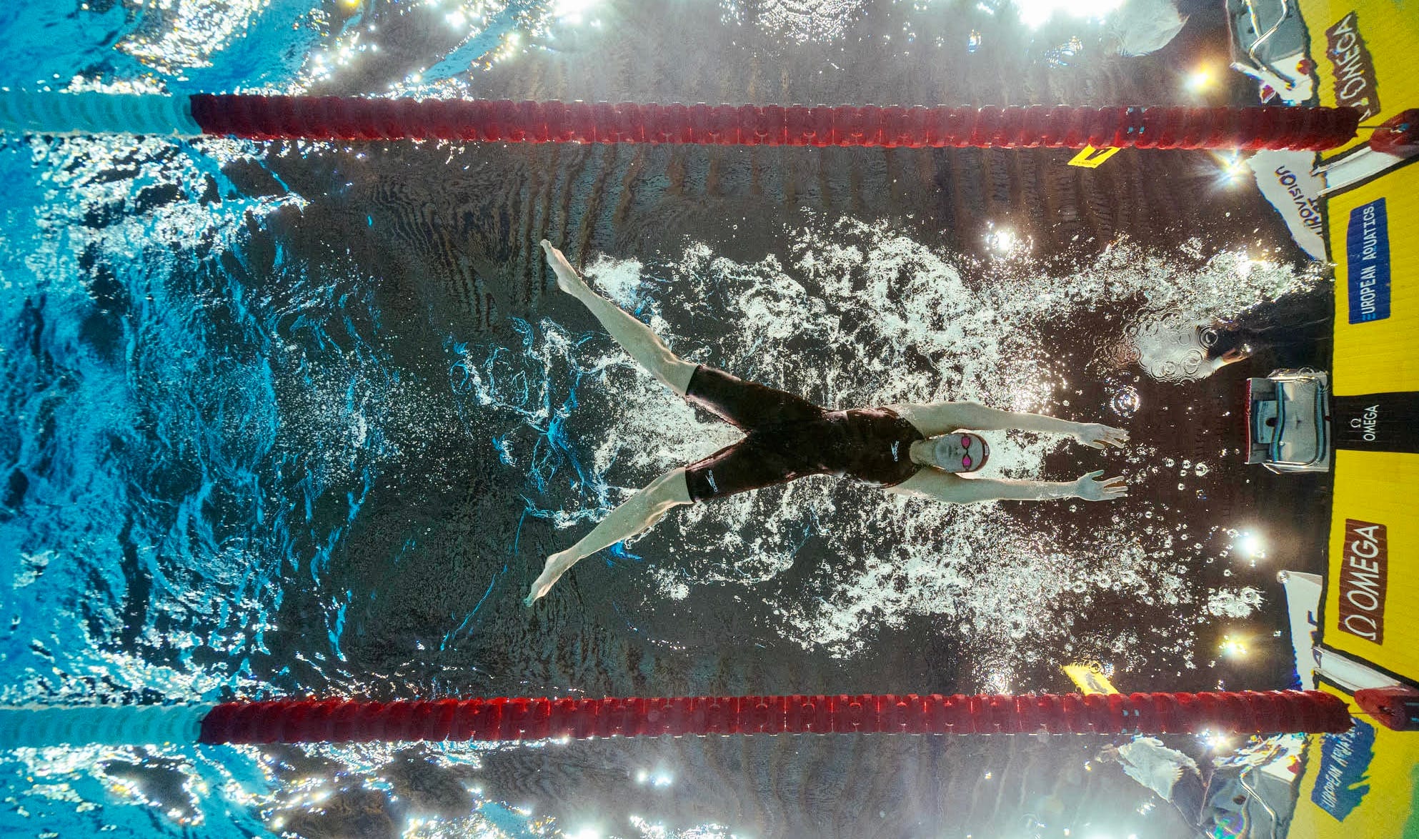 Chikunova Claws On The Courage Of Evans For Gold