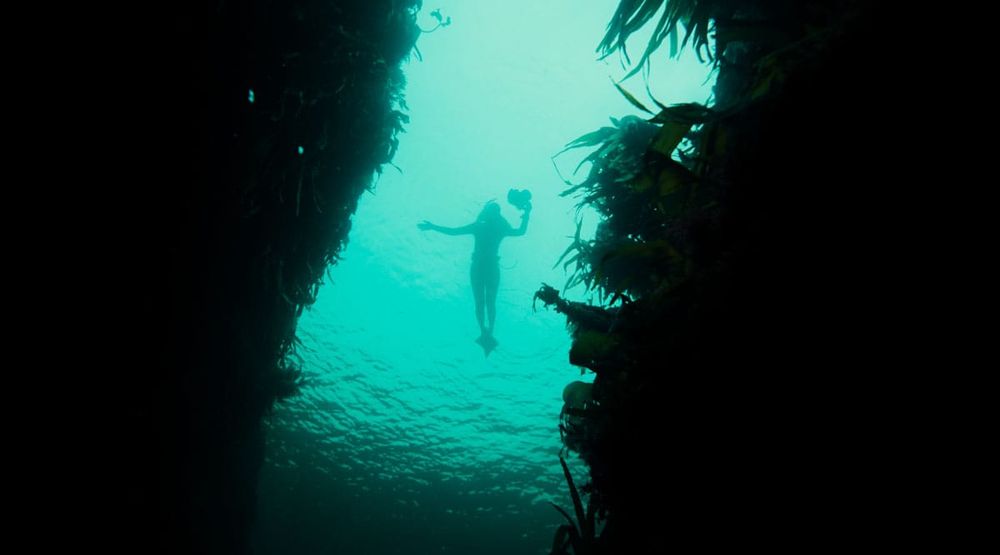 The Vortex - March 2025: SALT: 'How Surfing & The Atlantic Helped Save My Life' - Alice Ward's Award-Winning Film post image