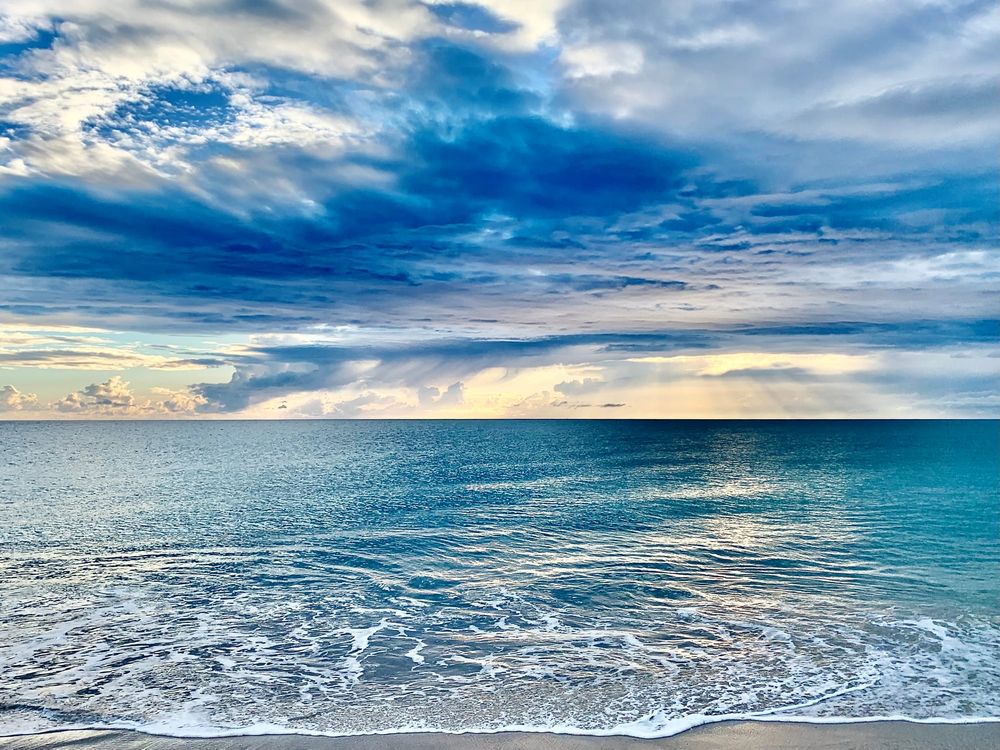 FORUM: Lessons From The Interface Of Sports & Politics In Troubled Times post image