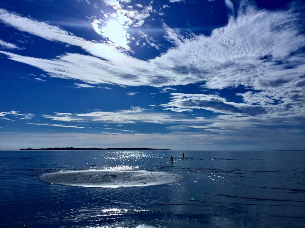 What Swimming Can Learn From The Athletics Integrity Unit: Ex-WADA Boss David Howman On The Meaning Of Independence & More post image