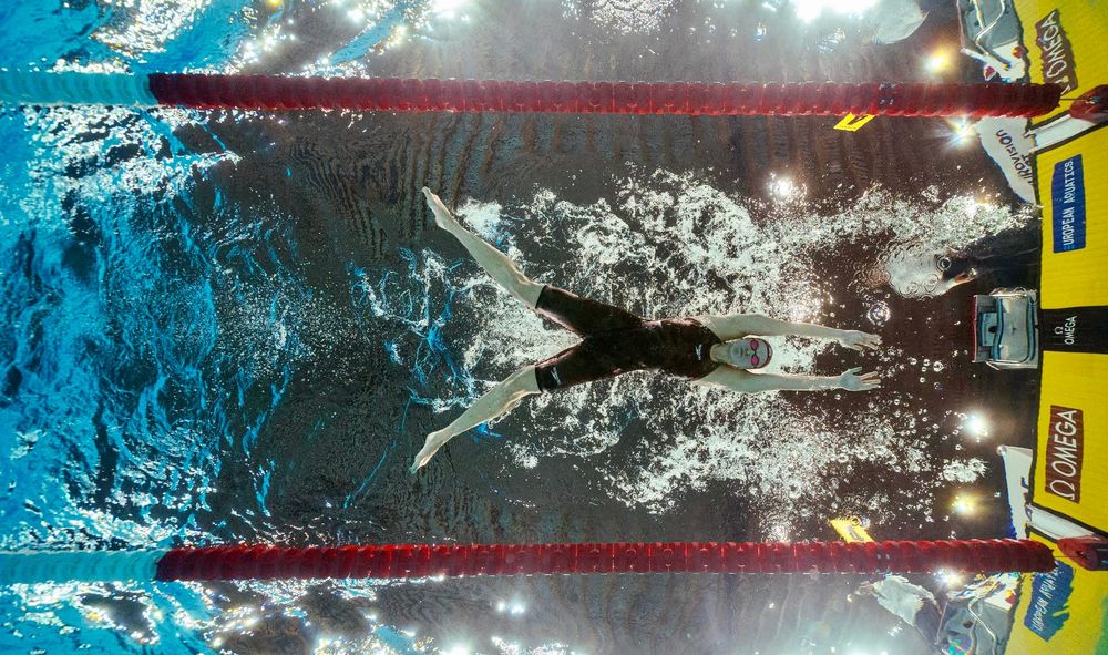 Chikunova Claws On The Courage Of Evans For Gold post image