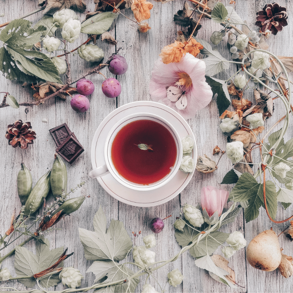 How to Choose the Right Tea Canister (Product Review)