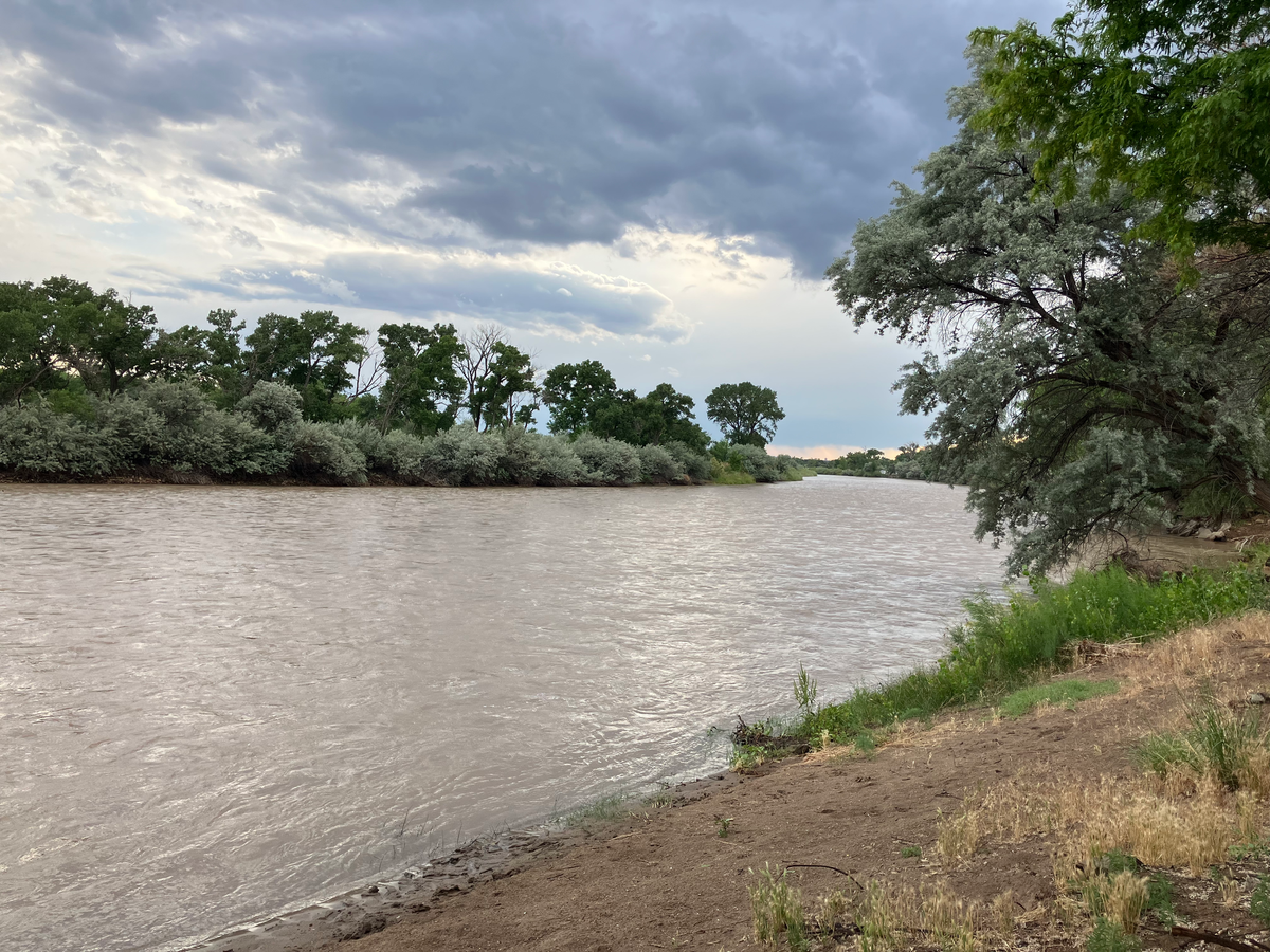 But I Never Win Anything