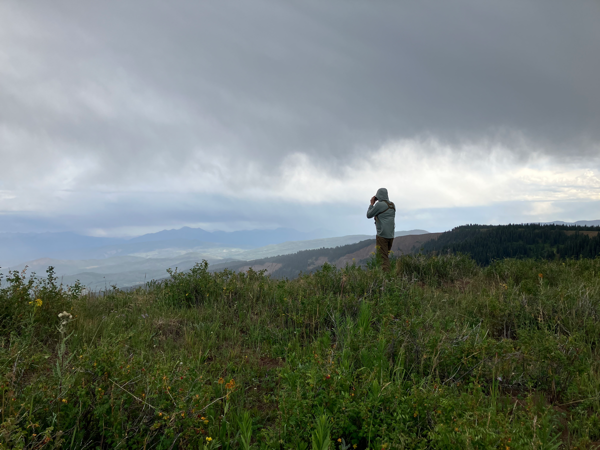 The Roadless Rule