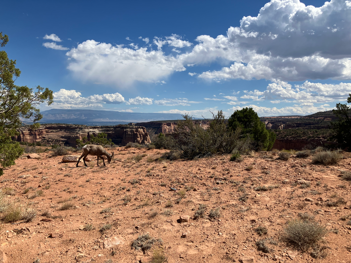 Follow Up: Hair Cuts