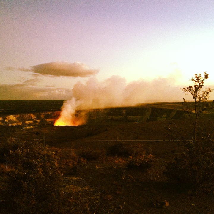 Your Beautiful Wife Wants Some of Your Food