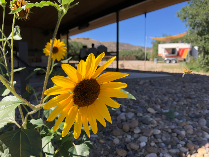 Book Stores Aren't Just for Books