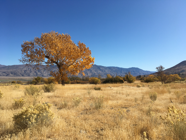 Today's Protagonists Aren't just Youngish Men