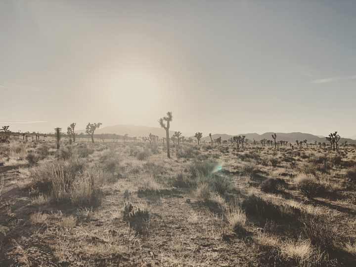 Sometimes I Think I Miss You