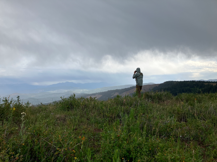 The Roadless Rule