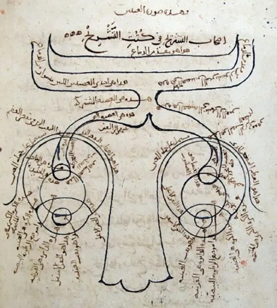Schema anatomico della vista nel Kitab al-Manazir&nbsp;(Libro dell'Ottica), scritto da al-Haytham fra il 1011 e il 1021. Da notare la descrizione del chiasmo visivo, ovvero che l'occhio destro è collegato al lato sinistro del cervello e viceversa.