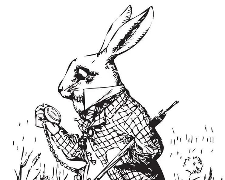 Desordena la realidad