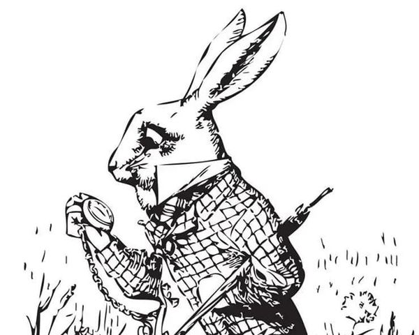 Desordena la realidad