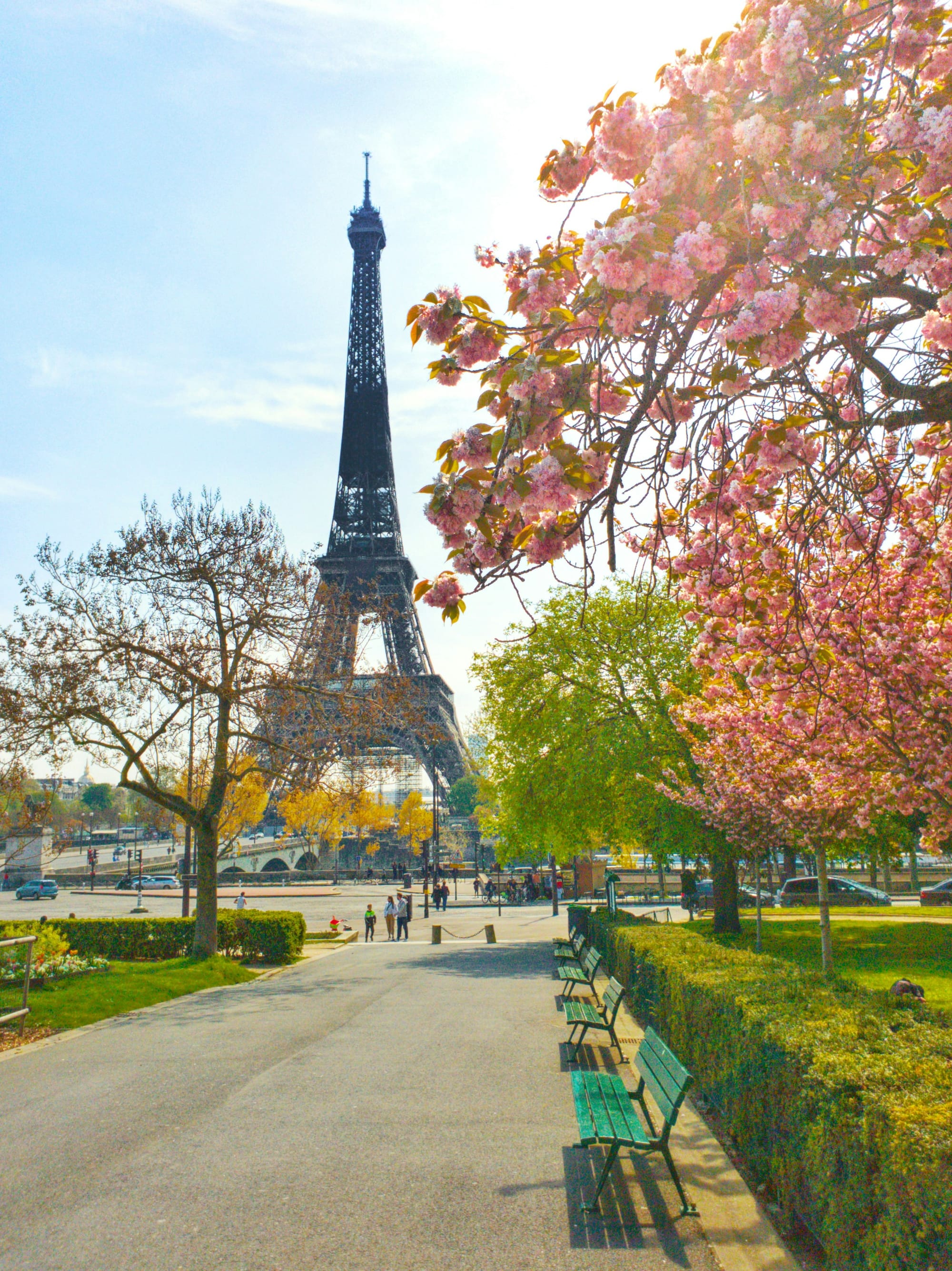 11 Best Spring Blossom Viewing Spots for 2026