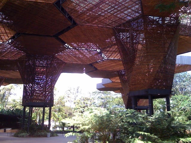 The wooden Orquideorama canopy at the Jardín Botánico de Medellín