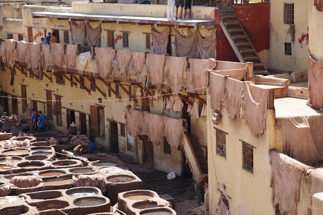 Leather hides drying at the Chouara Tannery in Fes