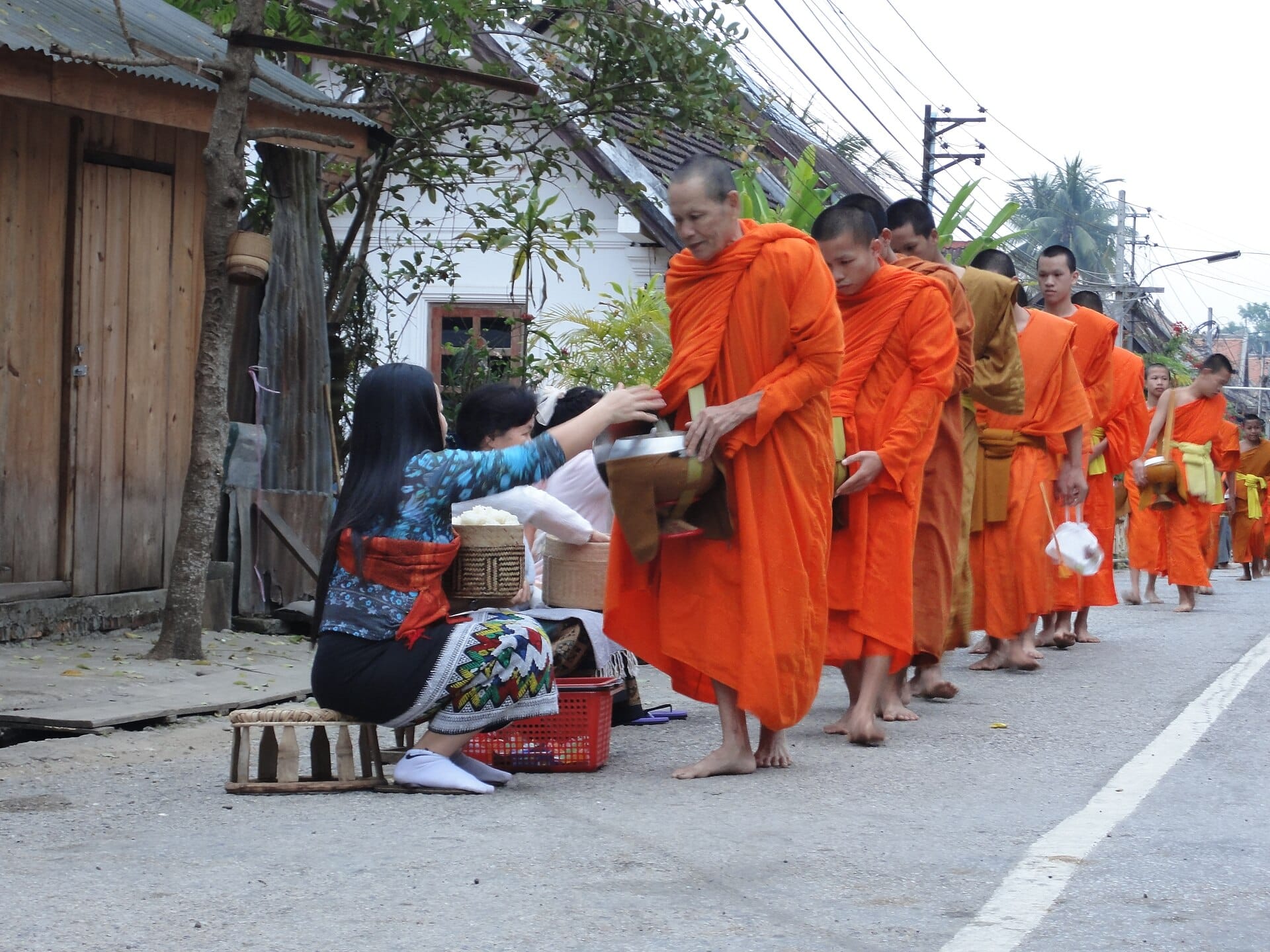 Monks collecting alms at dawn during the Tak Bat ceremony in Luang Prabang
