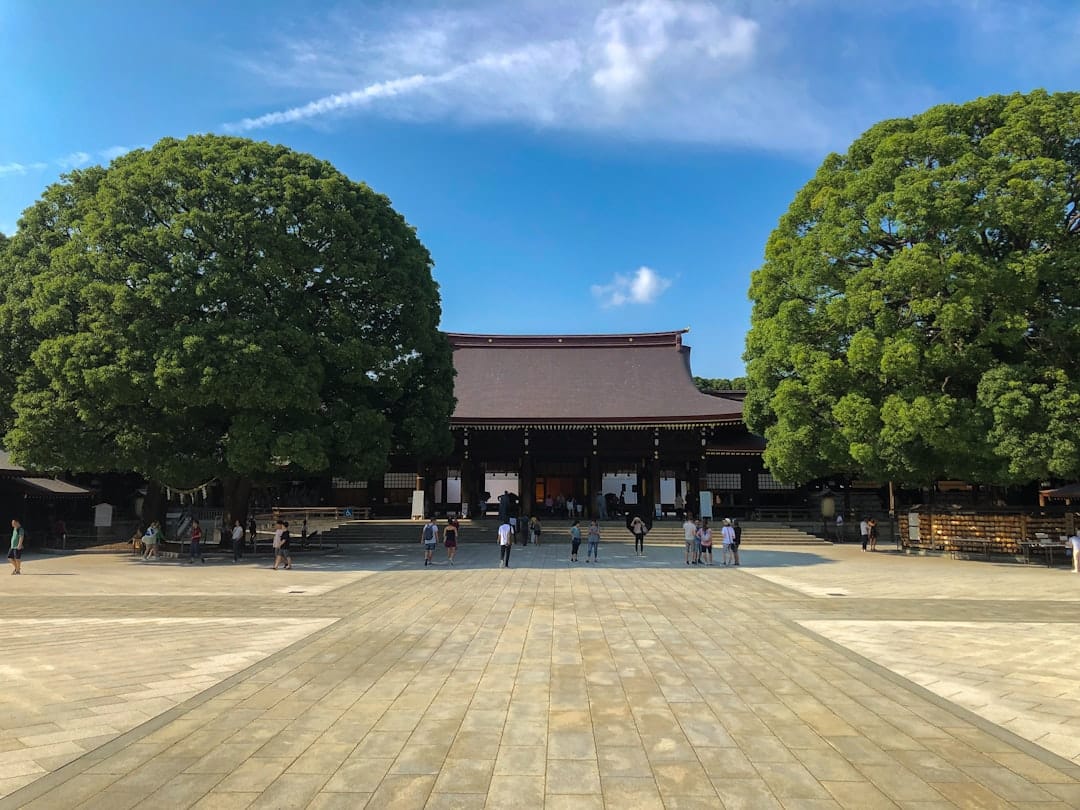 Wooden torii gate on the forested approach to Meiji Jingu, Tokyo