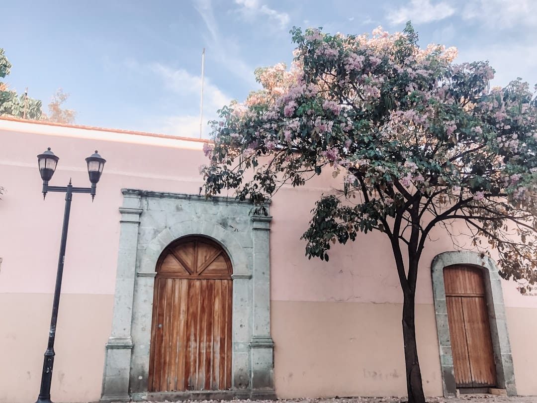 Colorful street in Oaxaca's Barrio de Jalatlaco
