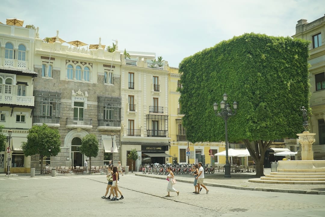 A tree-lined plaza in Seville's old town