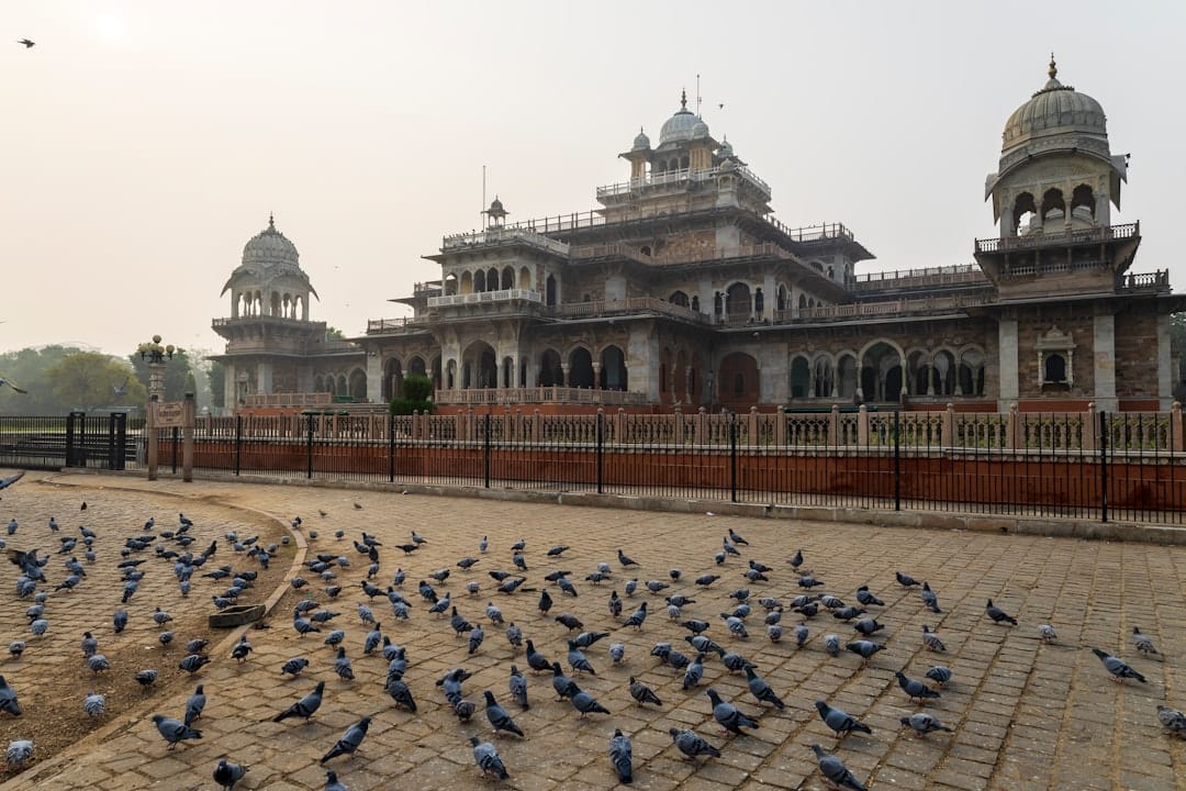 The Indo-Saracenic Albert Hall Museum in Ram Niwas Garden with pigeons on the forecourt