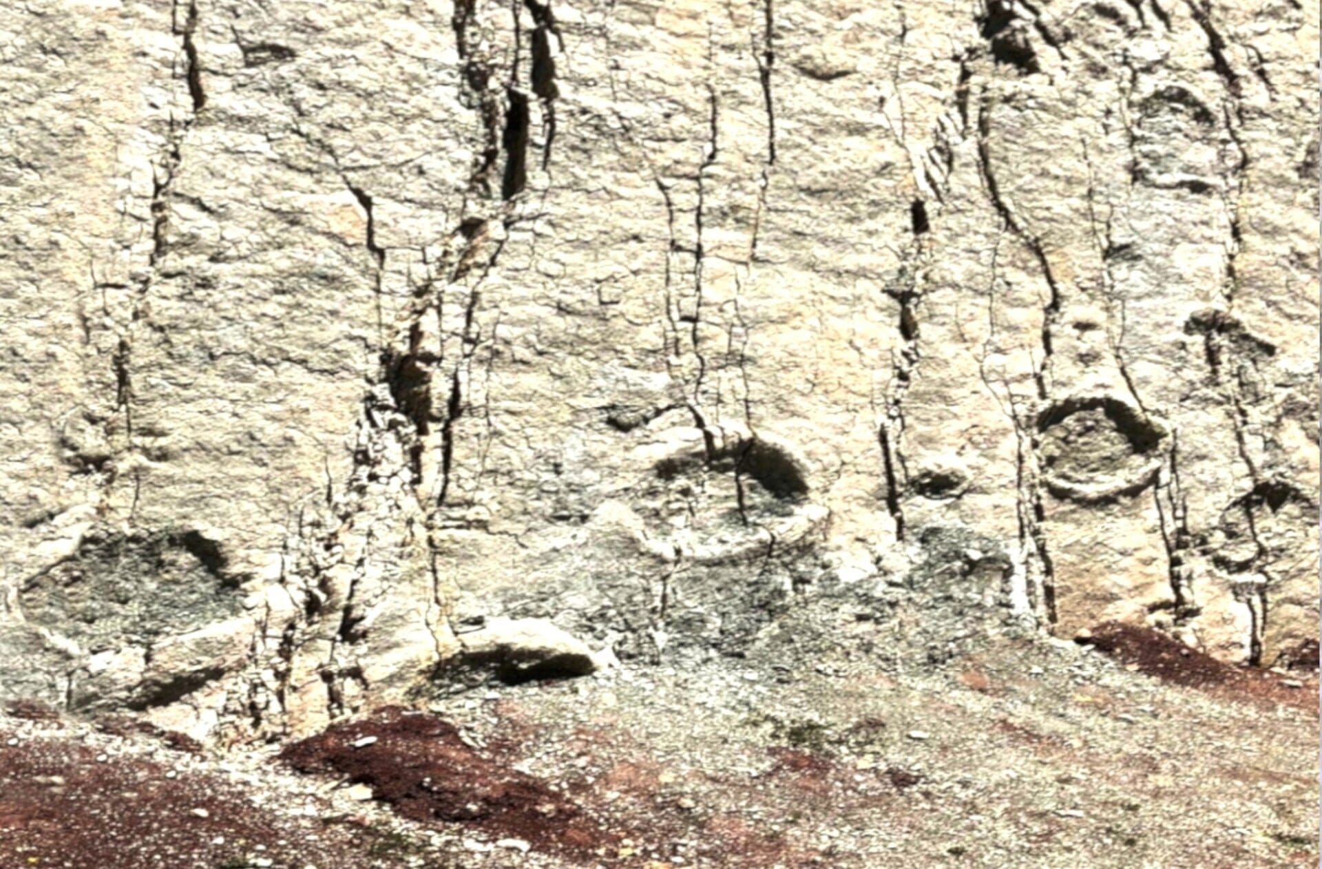 Dinosaur footprints on the vertical limestone wall at Cal Orcko, Sucre