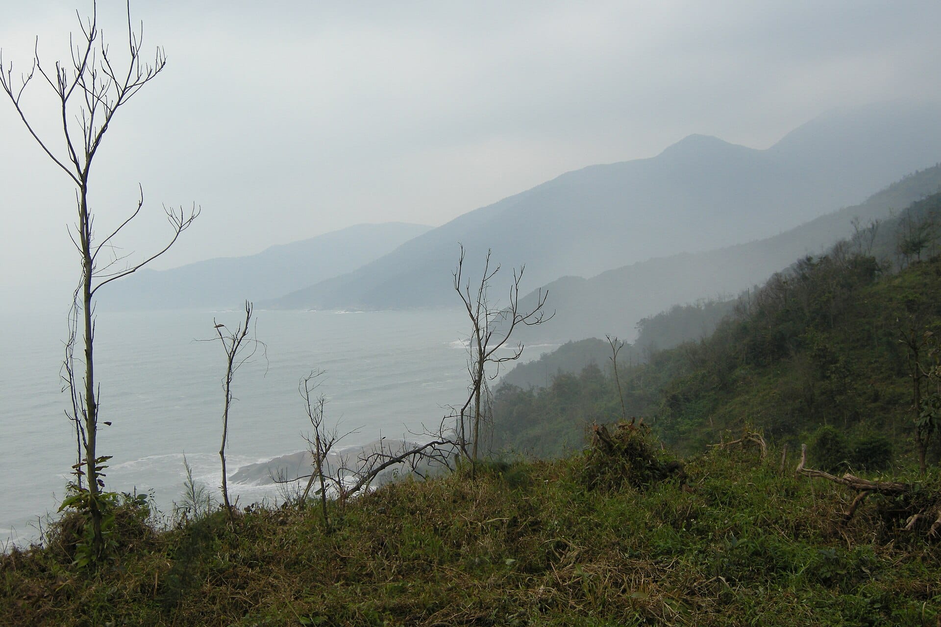 The Hai Van Pass winding along the coast near Da Nang