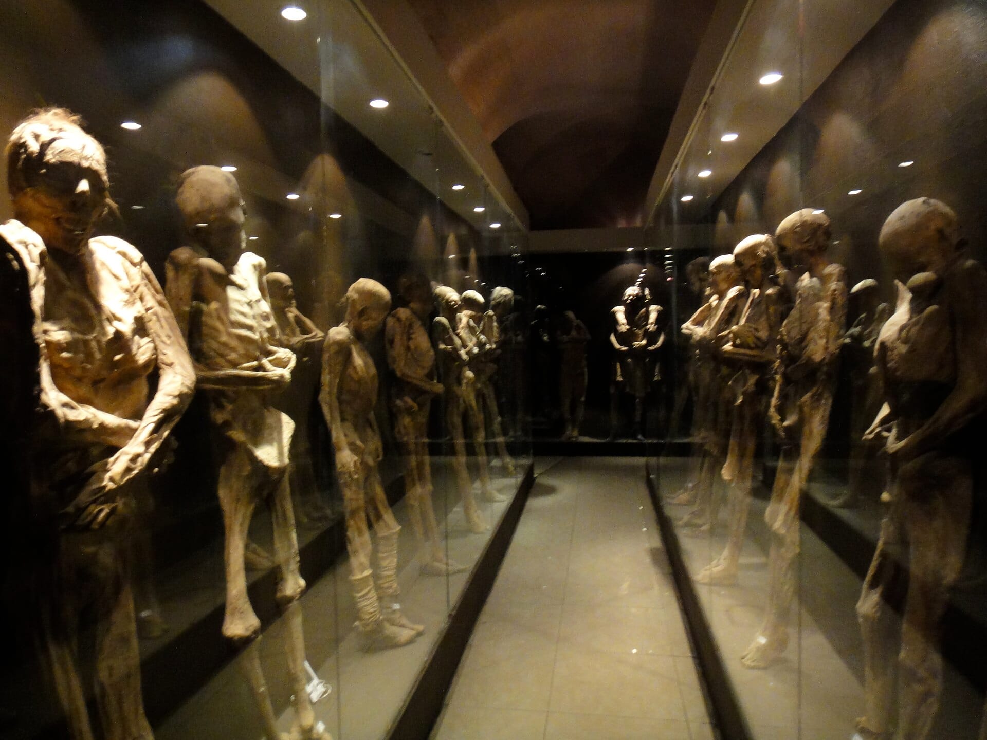 A corridor of preserved mummies inside the Museo de las Momias de Guanajuato