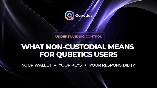 Wallet Security and Responsibility: What Every Qubetics User Must Know