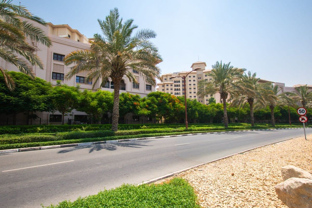 Al Andalus apartment buildings behind the palms on the estate boulevard, Jumeirah Golf Estates, photographed by Benjamin Baker