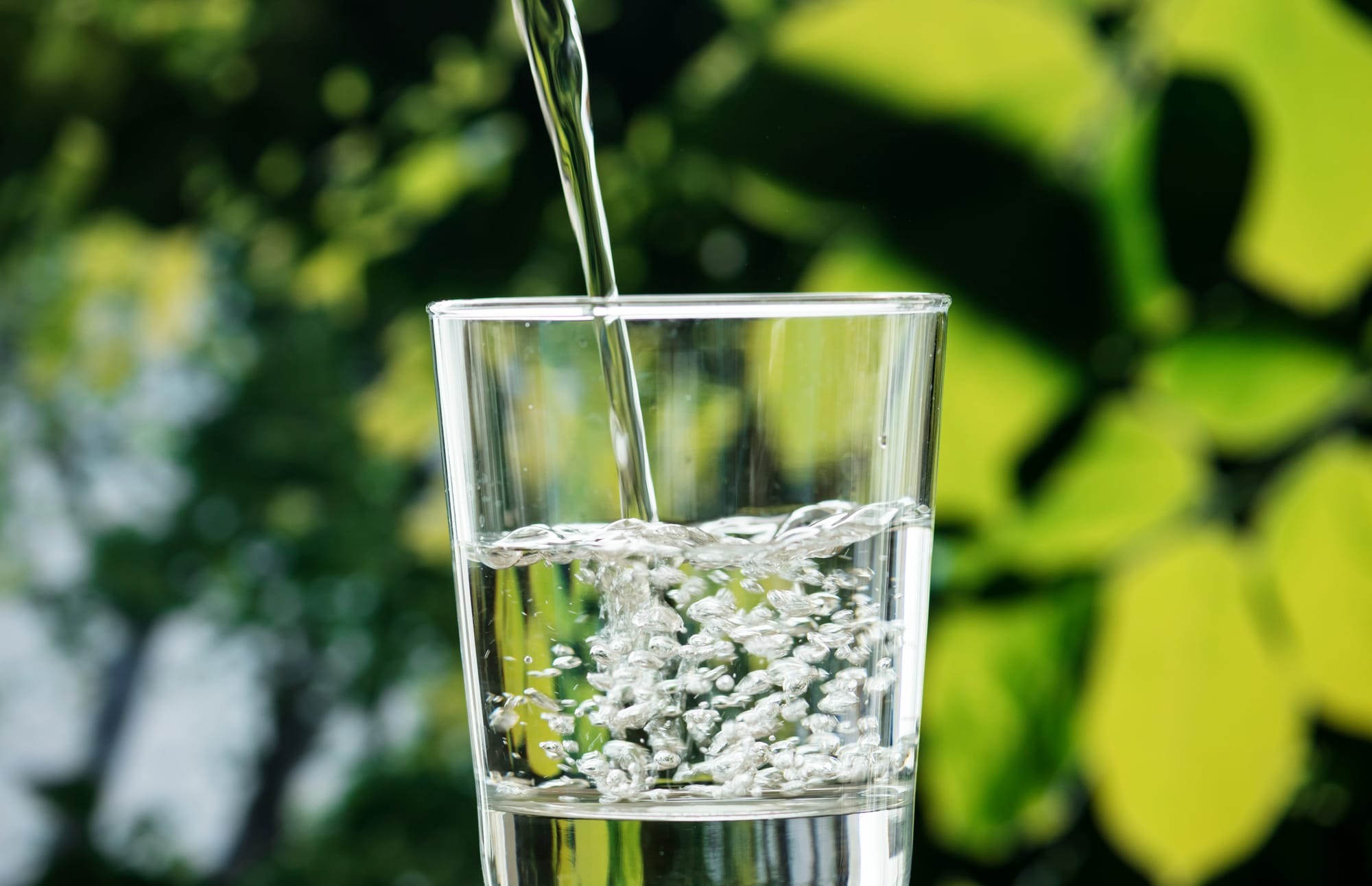 Clear water pouring into a drinking glass against a green leafy background.