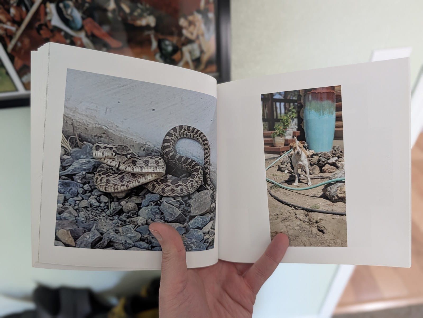 An open photo book showing a snake photo on one page and a small dog on the other.