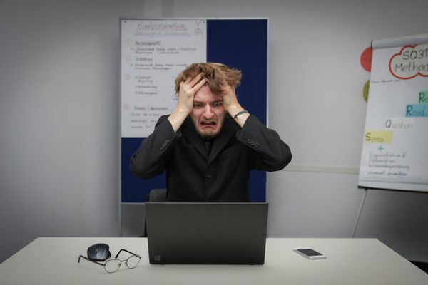 IT twins wipe 96 government databases.