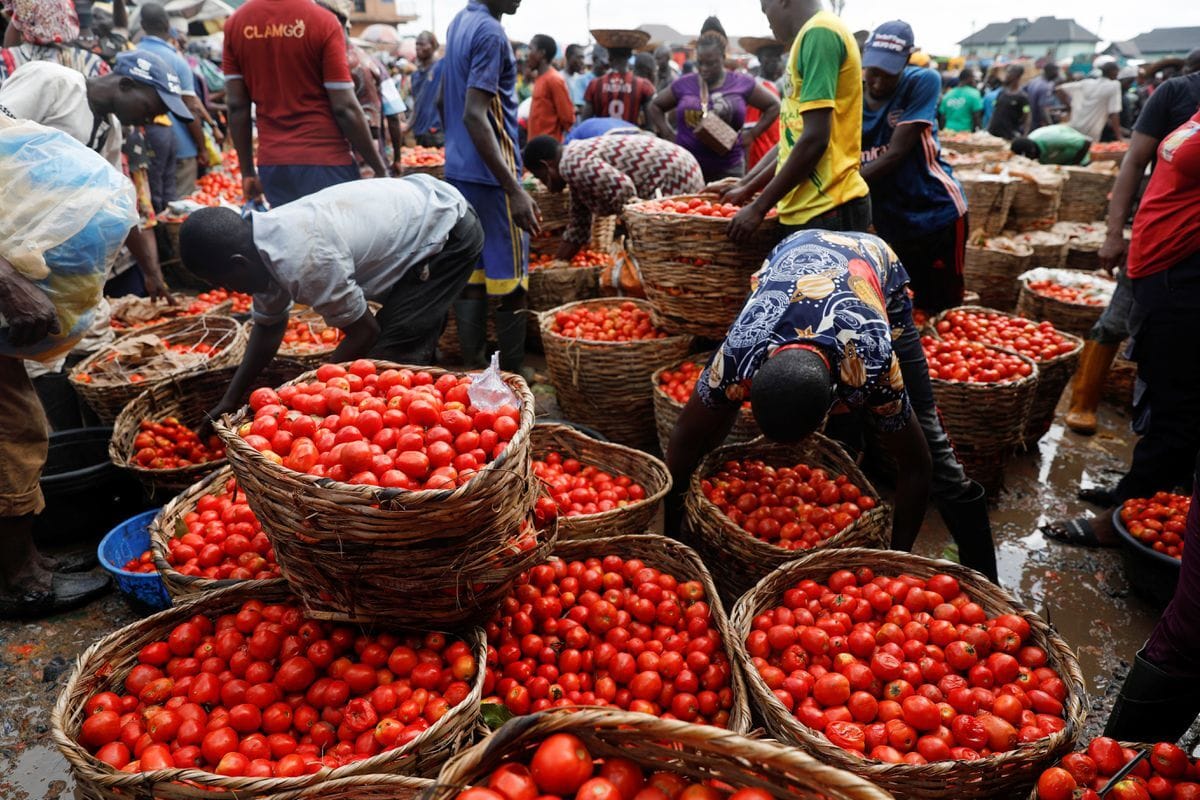 A vegetable market in Lagos, Nigeria. Photo: Temilade Adelaja/Reuters