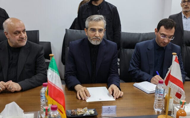 Iran’s acting foreign minister Ali Bagheri (center.) Photo: Anwar Amro/AFP