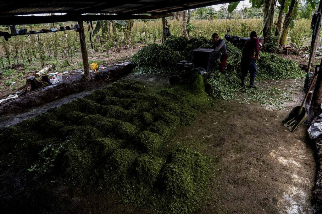 A coca paste laboratory in Putumayo province, Colombia. Photo: Esteban Vanegas/Bloomberg