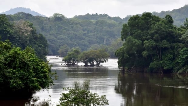 The Ogooe River in the equatorial forest near Ndjole, Gabon. Photo: Issouf Sanogo/AFP/Getty Images