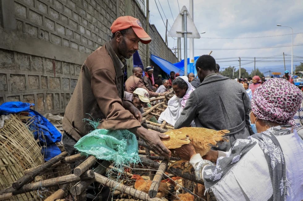A man selling chickens in Addis Ababa, Ethiopia. AP file photo