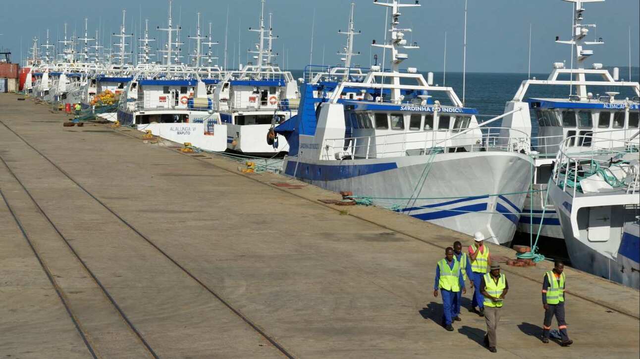 A file photo of the Mozambique Tuna Company fishing fleet docked in Maputo. Photo: Grant Lee Neuenburg/Reuters