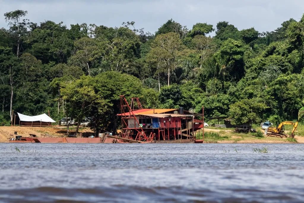 Suriname hopes to monetize preservation of its jungle. Photo: Jody Amiet/AFP