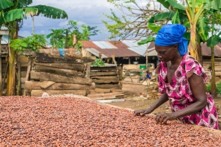 Cocoa farmers have faced increased threats to their livelihoods in recent years. Photo FairTrade Africa via Confectionery News
