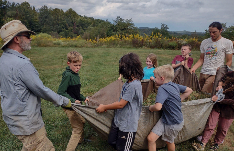 Curriculum Corner: 'Amber Autumn'