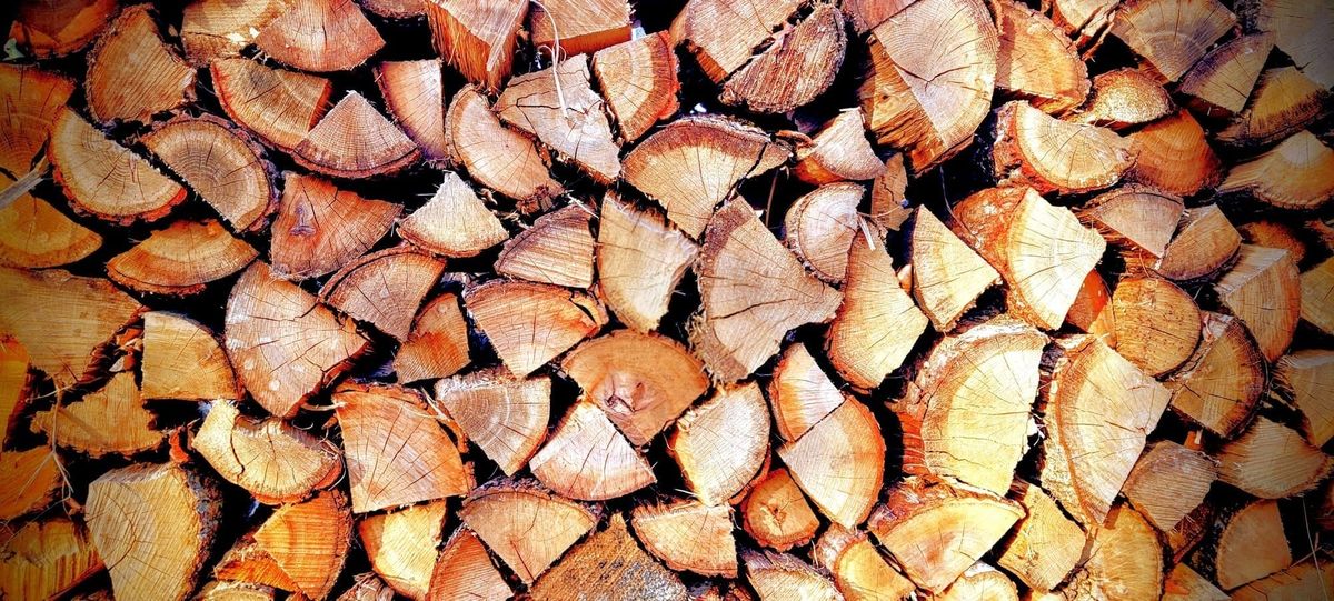 Use local firewood safely this winter