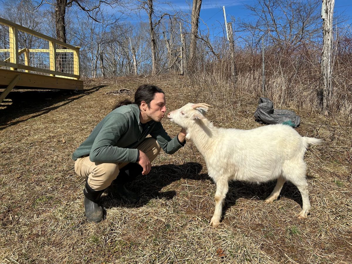 ‘The Adventures of Little Britches’: Floyd farmer featured in new children’s book