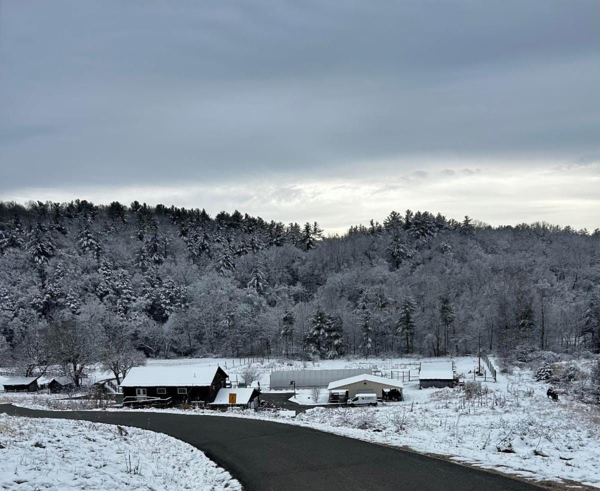 Plenty!'s January Newsletter: Ken's Spicy White Bean Soup and more