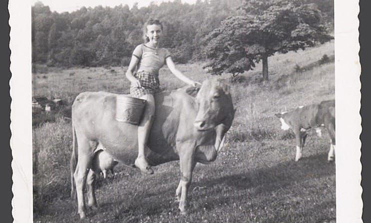 Backstories and Backyards: Buttermilk, Biscuits, and Butter