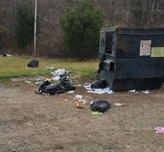 Bear activity threatens Conner Grove Road green boxes