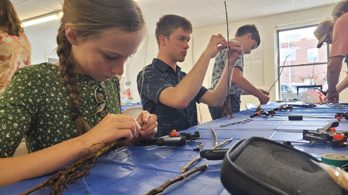 Grafting Apple Trees with the Cooperative Extension
